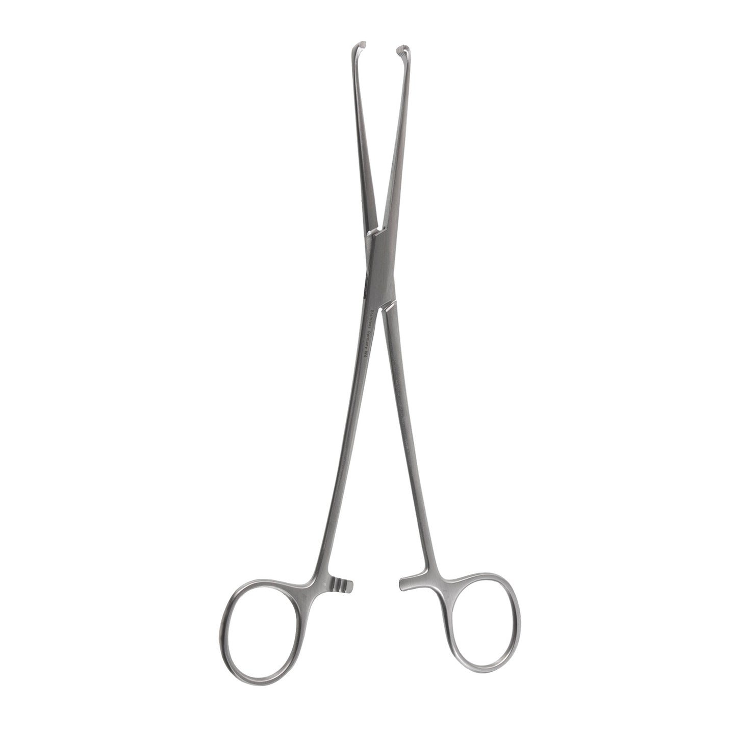 8" Allis Tissue Forceps with regular straight 5 x 6 teeth.