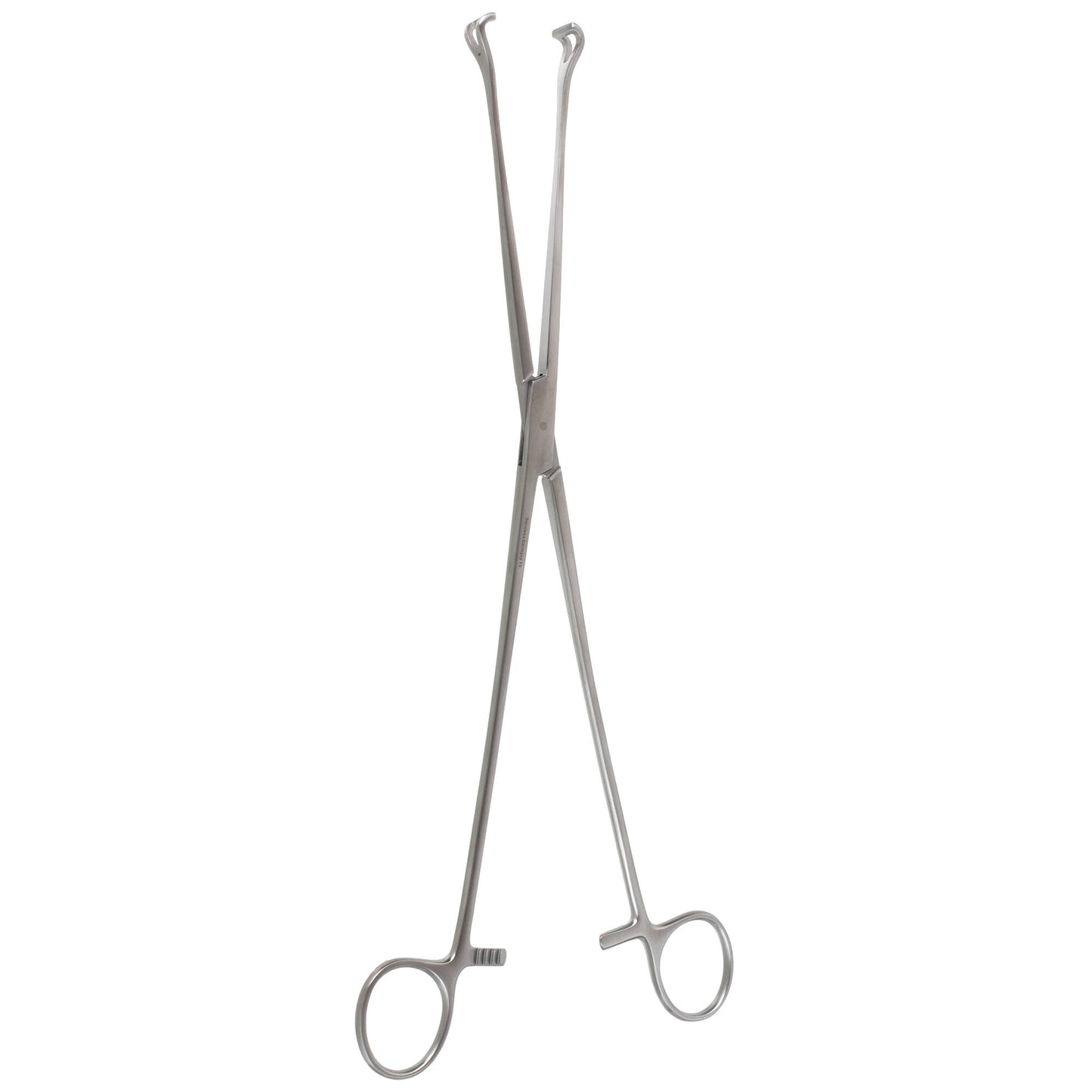 Jaw width of Babcock Tissue Forceps, 11mm