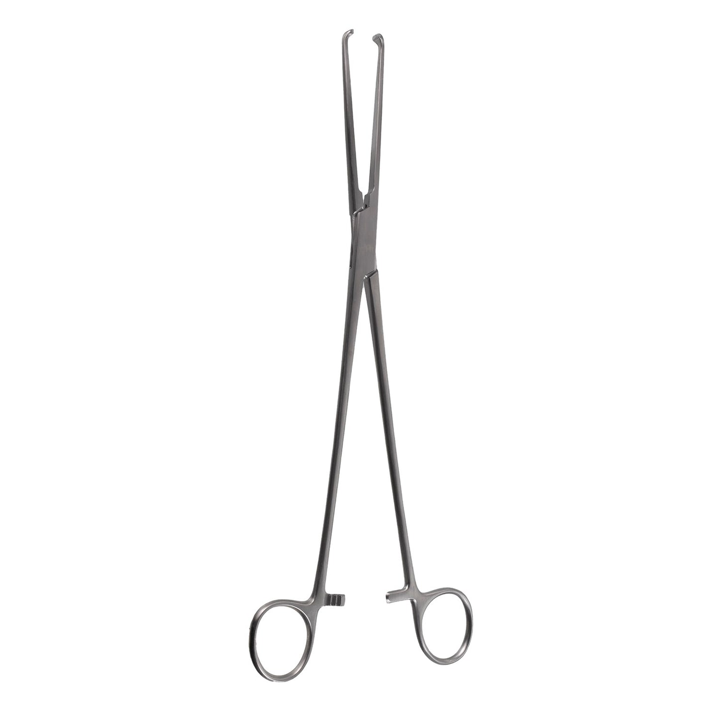 11 1/4" Allis-Willauer forceps with 5 and 6 teeth