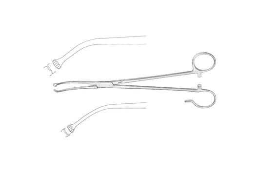 White tonsil seizing forceps 18cm with fenestrated toothed jaws