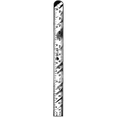 Stainless steel surgical ruler 150mm 6 inch with mm and inch markings