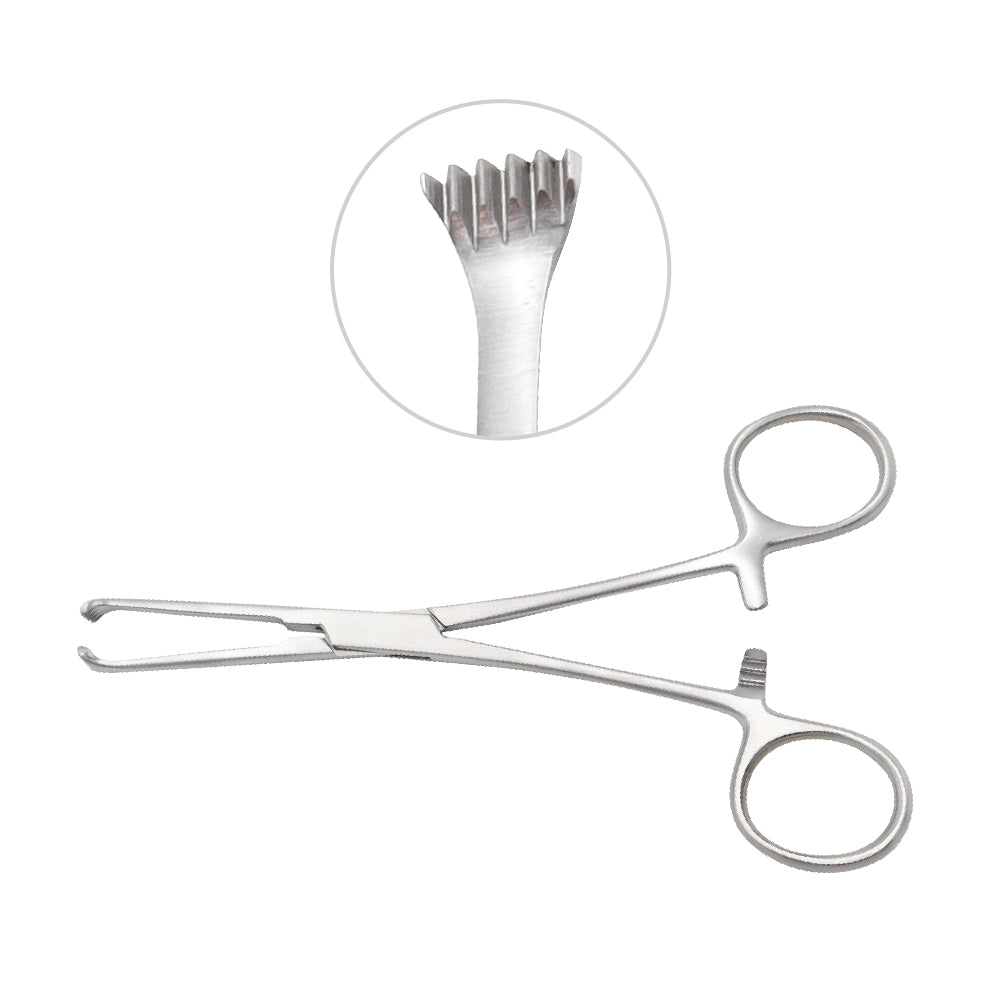 Lerche tissue forceps 5x6 teeth 15cm