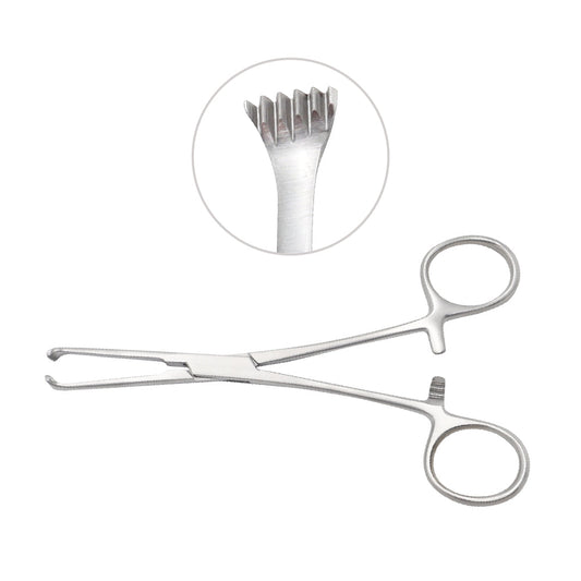 Lerche tissue forceps 5x6 teeth 15cm
