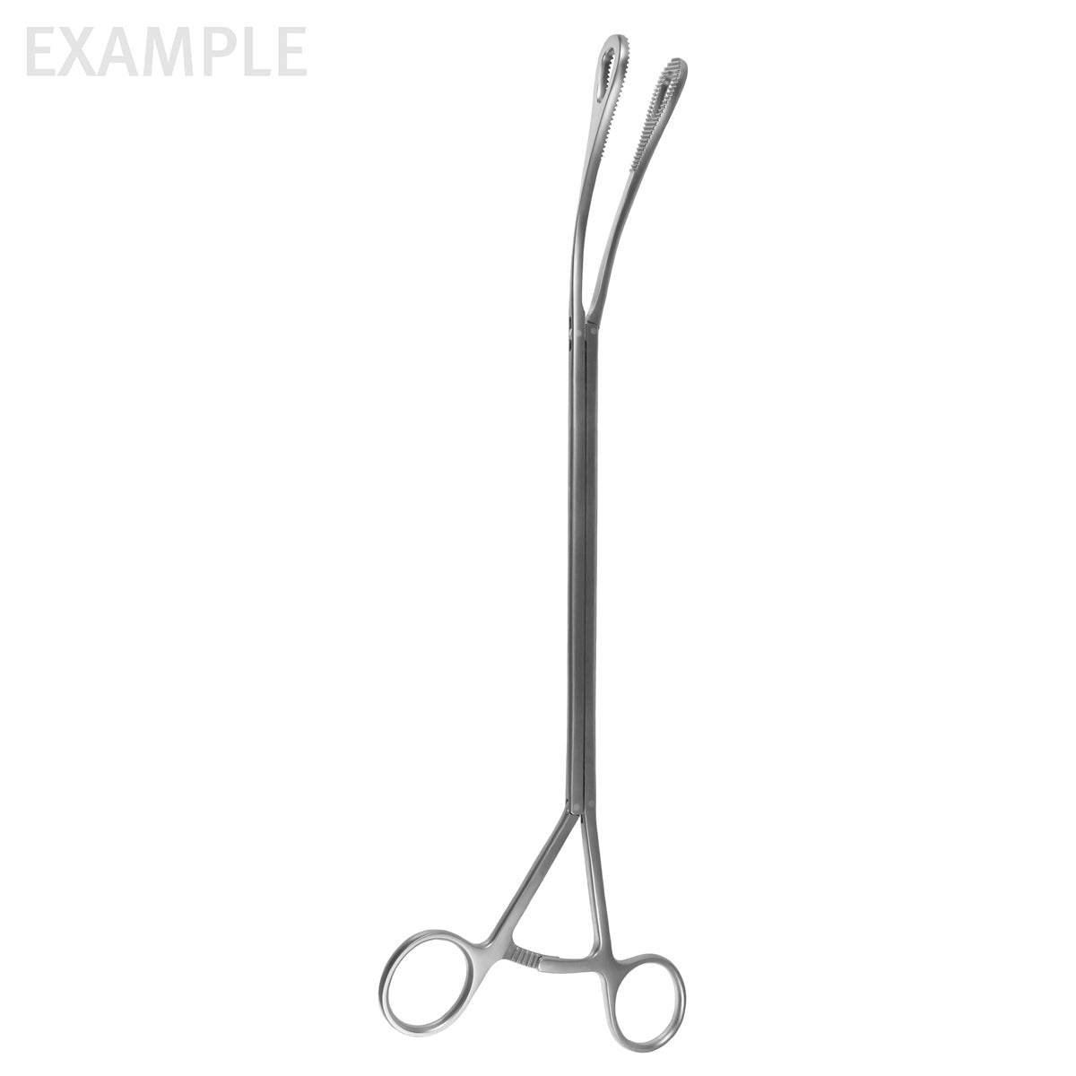 13-1/2 VATS Foerster Forceps 10mm shaft 20mm Oval Jaws