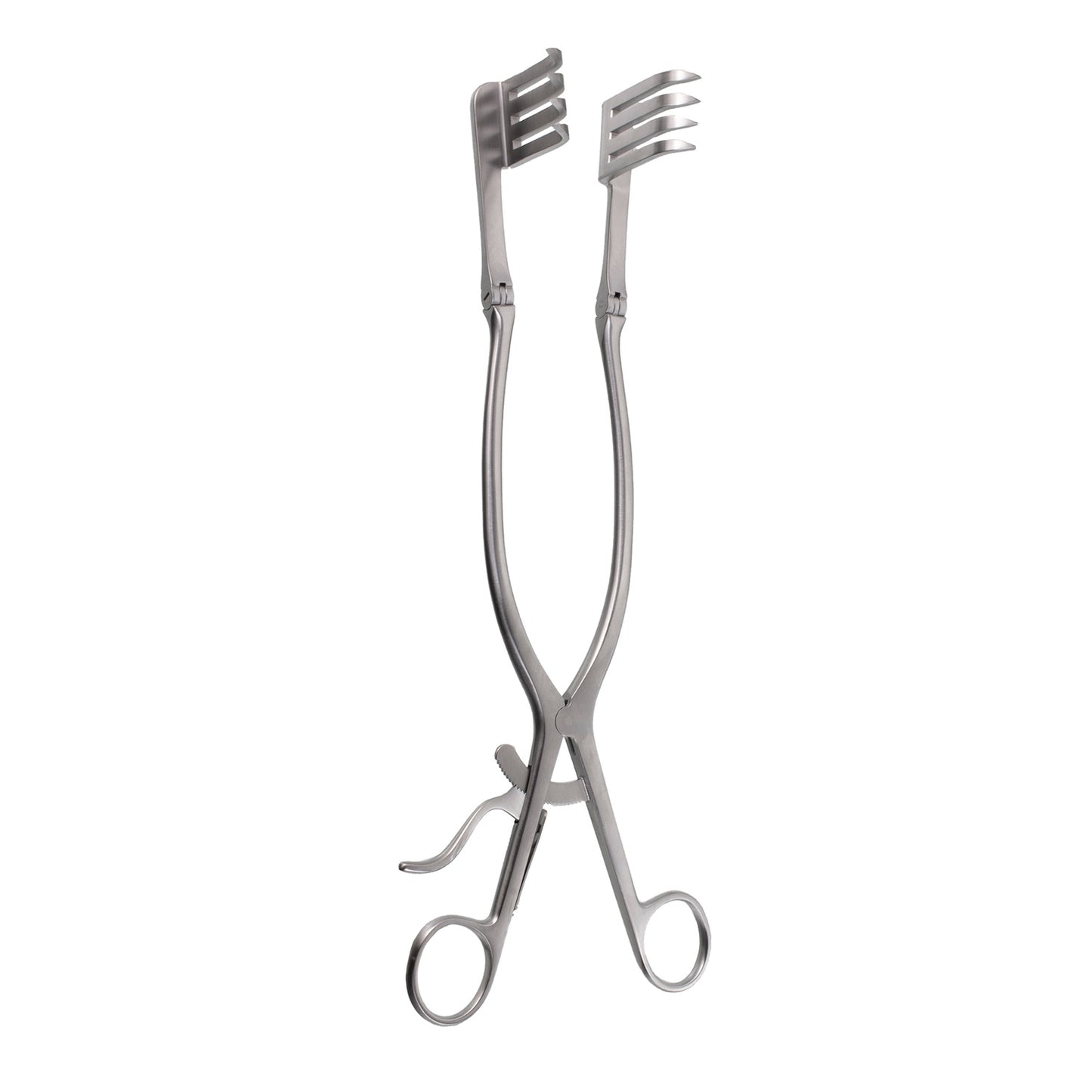 Beckman Adson Retractor, shrp, teeth; from hinge to top