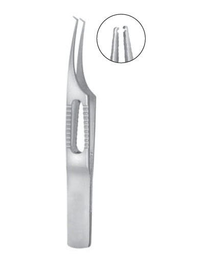 Hoskin Tissue Forceps Colibri 22