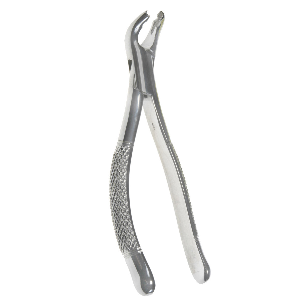 Lower Anterior ; Oral Molar Forceps