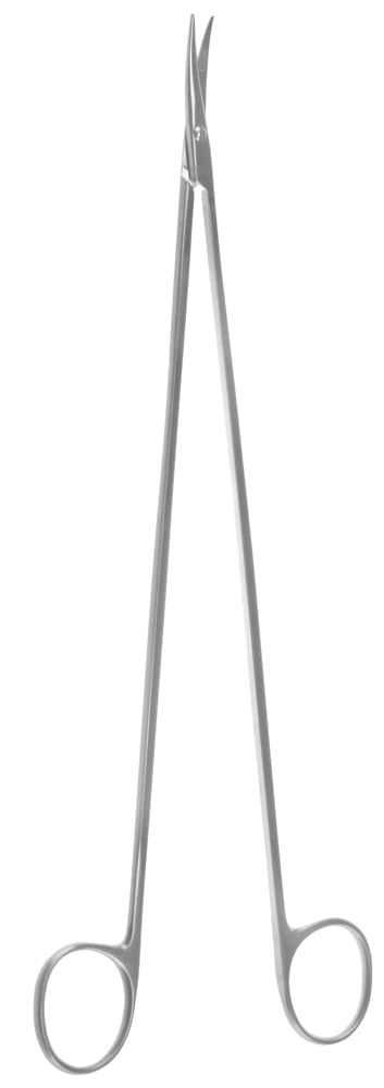 Graham Vascular Scissors  very delicate round blades