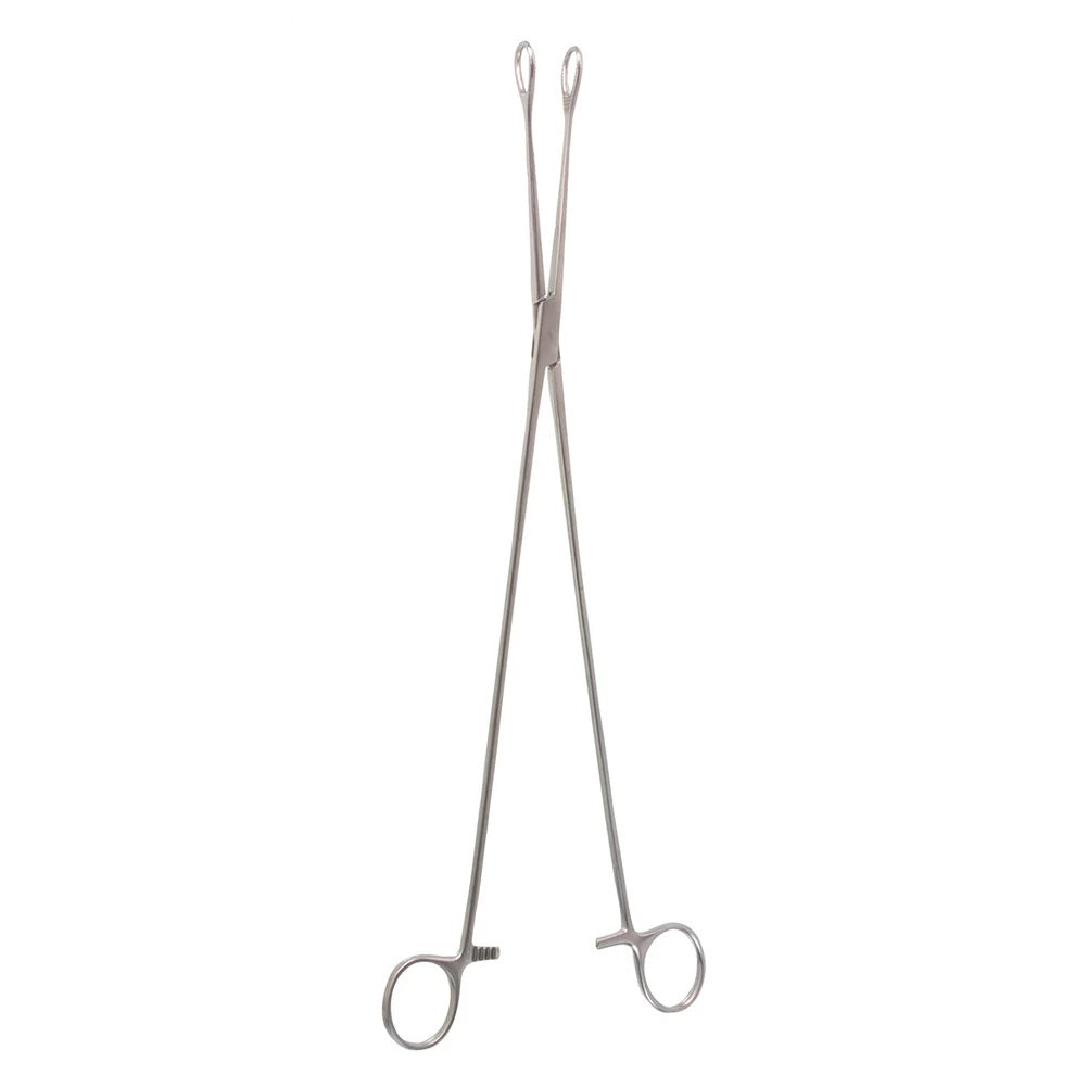 18" Straight Forester Sponge Forceps