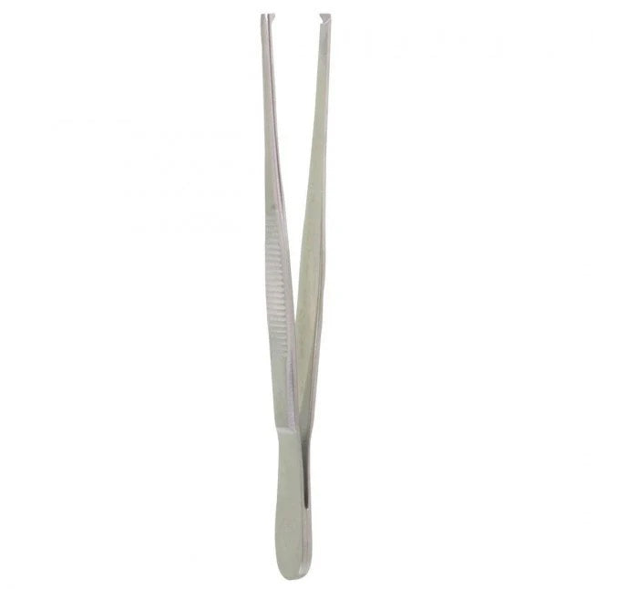 10" tissue forceps with one standard pattern for two teeth