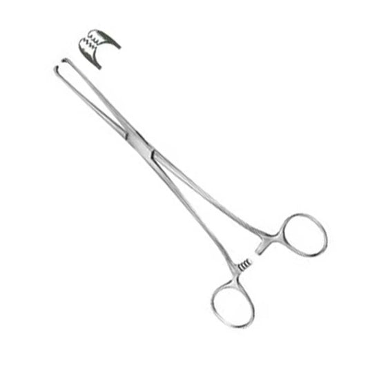 16" Allis Tissue Forceps, Standard Straight, with Teeth