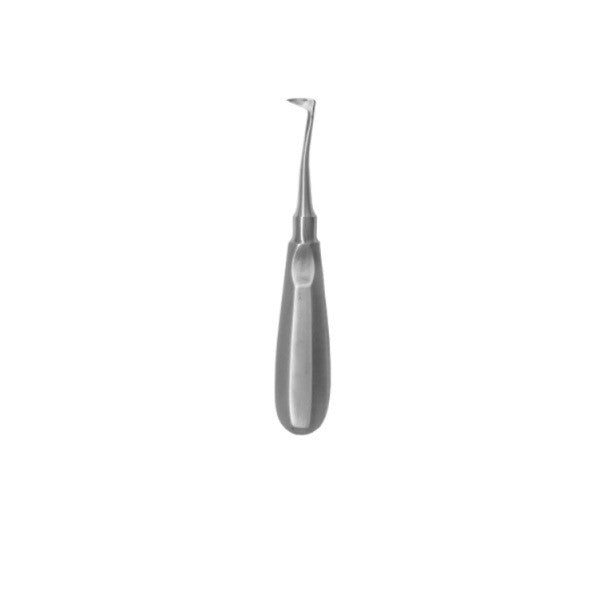 Exodontia Oral Seldin Angled Up Elevator