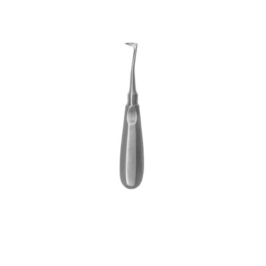 Exodontia Oral Seldin Angled Up Elevator