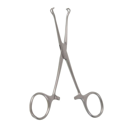 5 1/4" Petite Point Babcock Forceps, 6mm Jaw