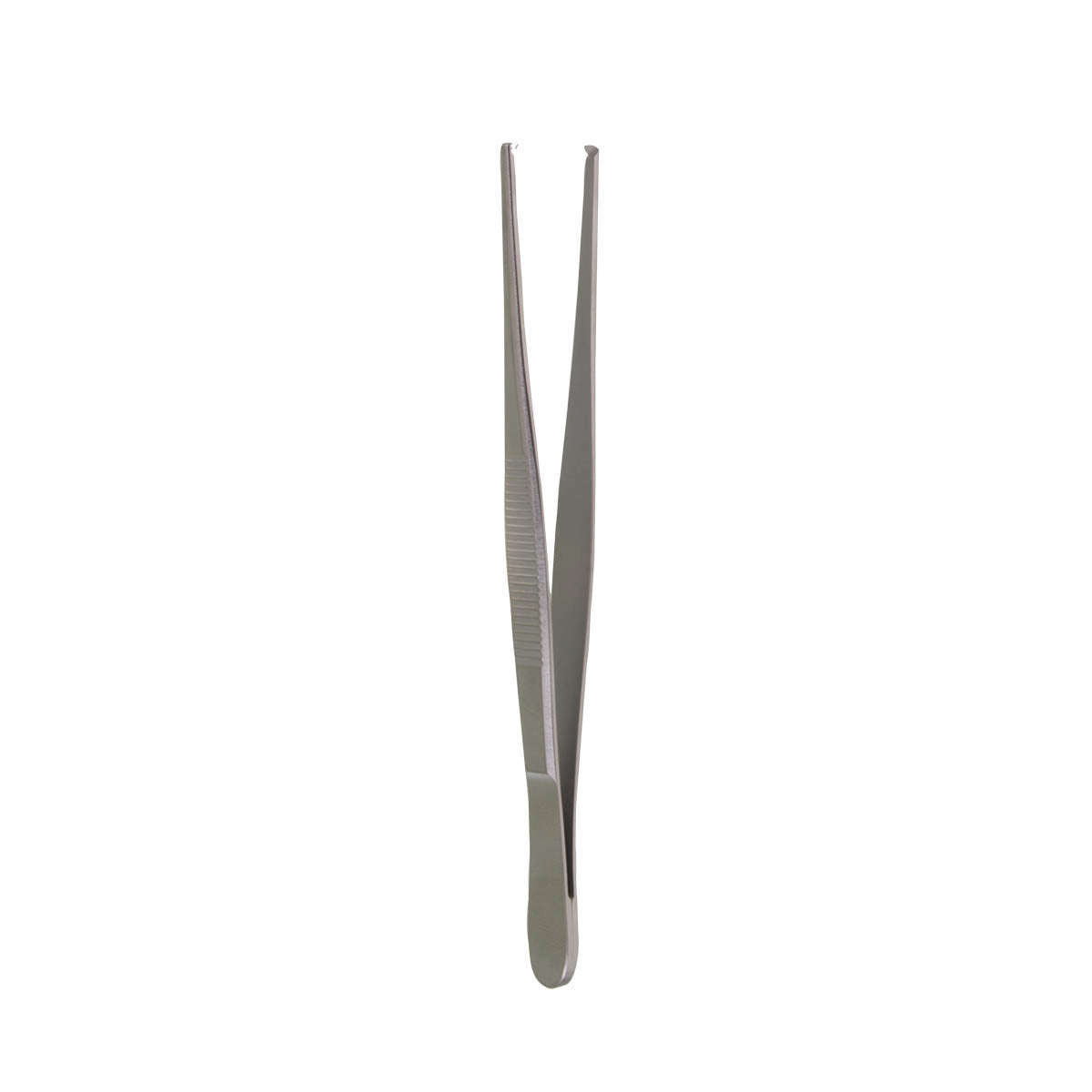 Tissue Forceps, 5 1/2", 2 teeth standard pattern