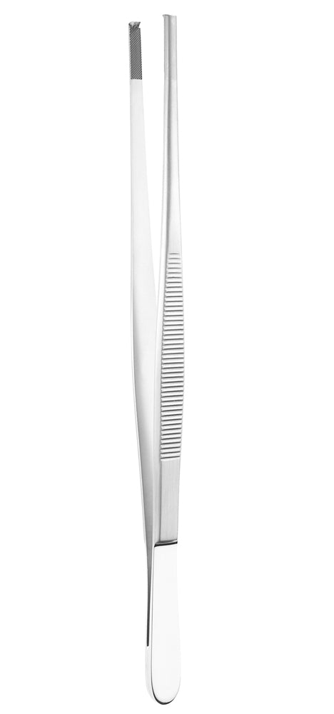 8" Tissue Forceps, 2x3 Teeth