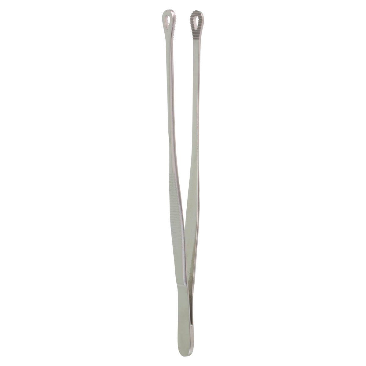 Tuttle Tissue Forceps, Size 7