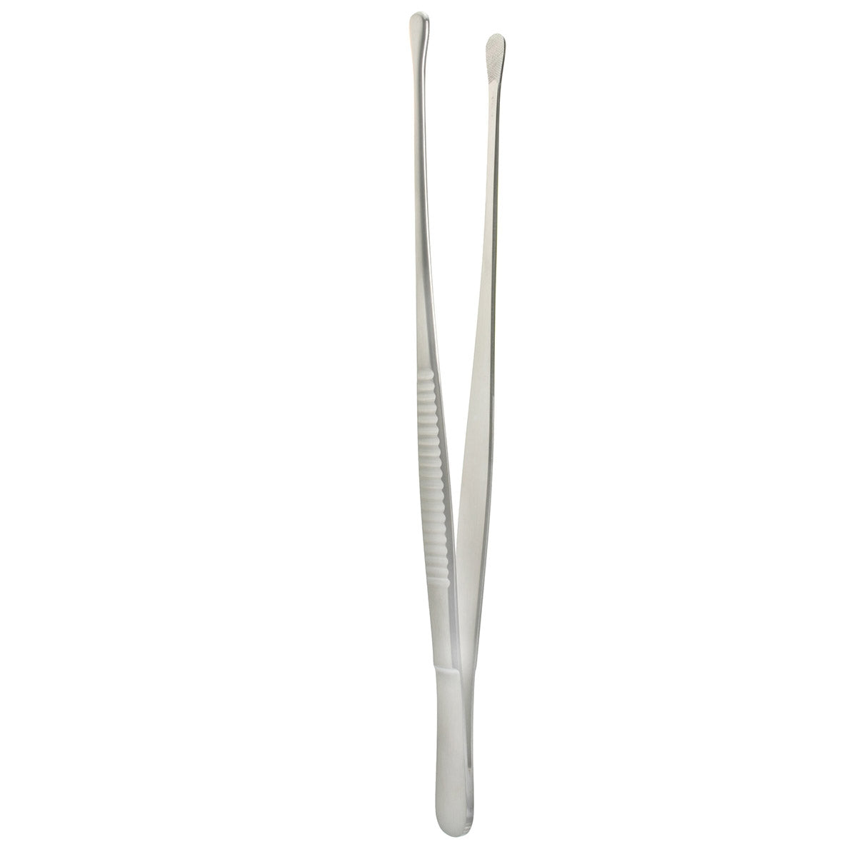 Wangensteen Tissue Forceps