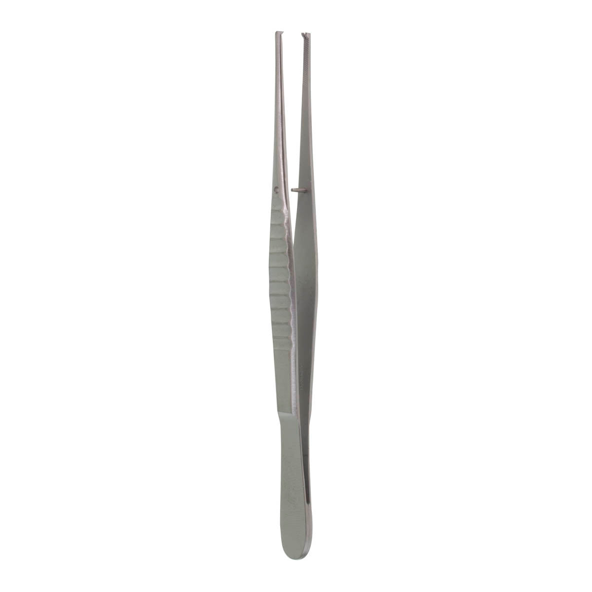 6" Waugh Forceps (1 x 2 Teeth)