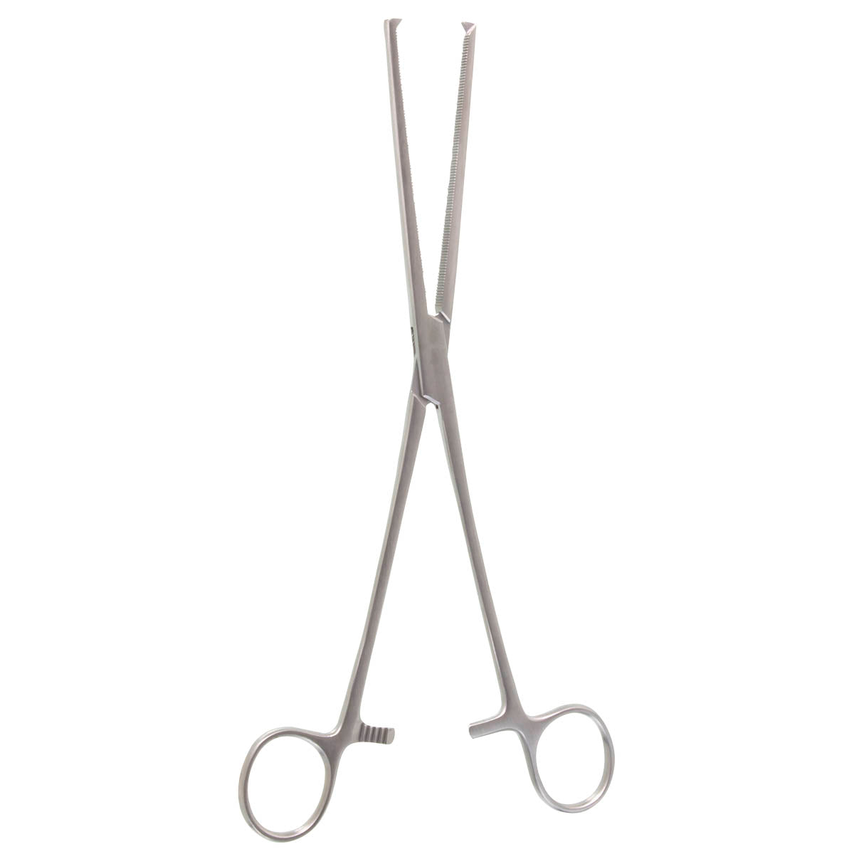 Rochester-Ochs Hemostatic Forceps, Straight, 1 1/2 Teeth