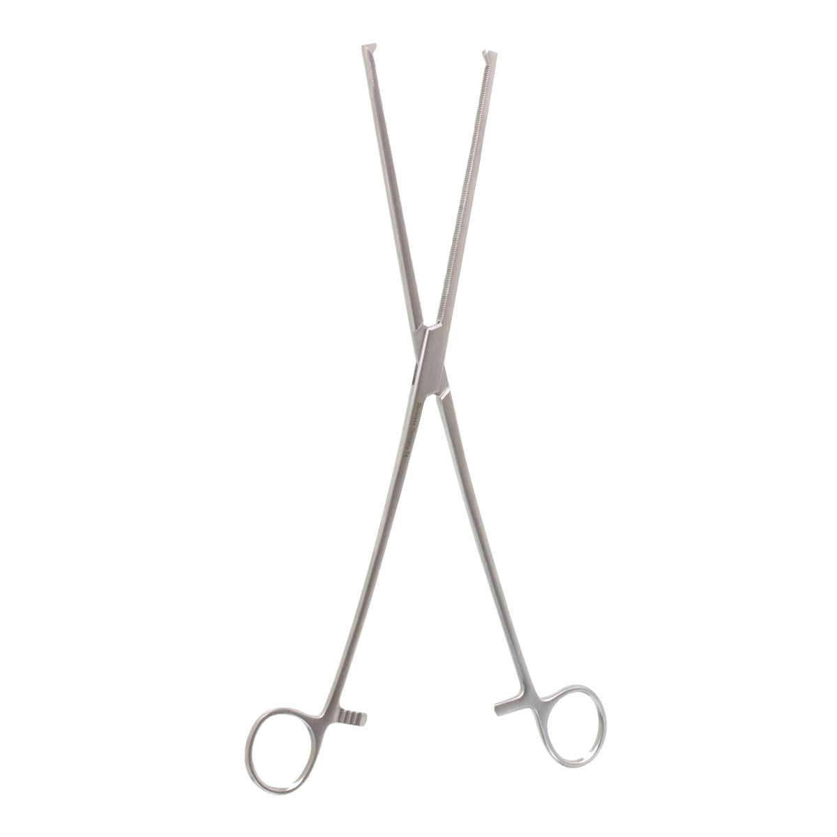 Rochester-Ochs Forceps, Straight