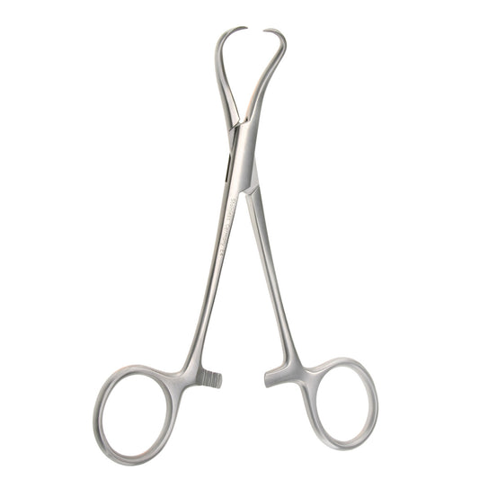 Backhaus Towel Forceps, 5"