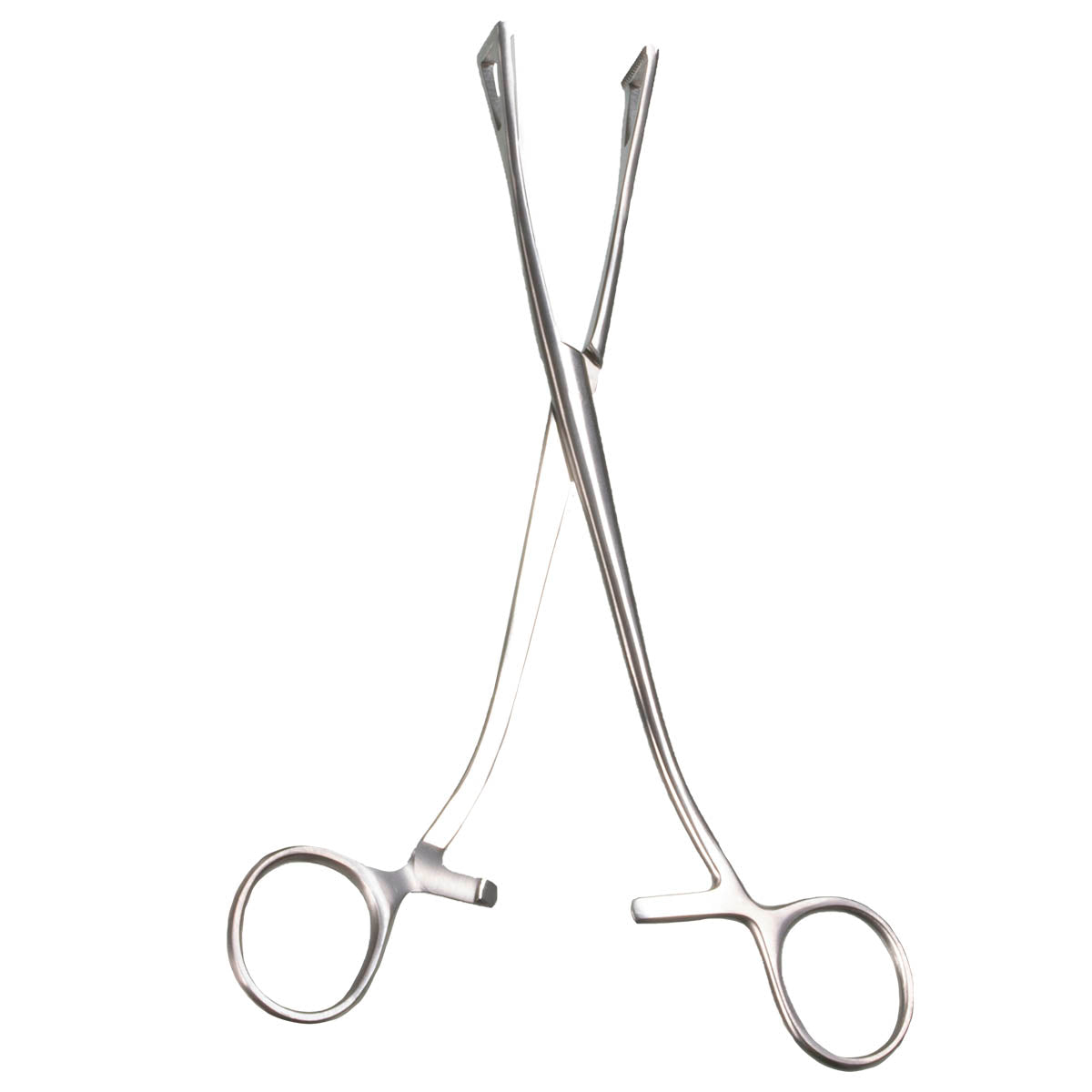 7 1/2" Duvall Lung Forceps with 15mm Wide Jaws