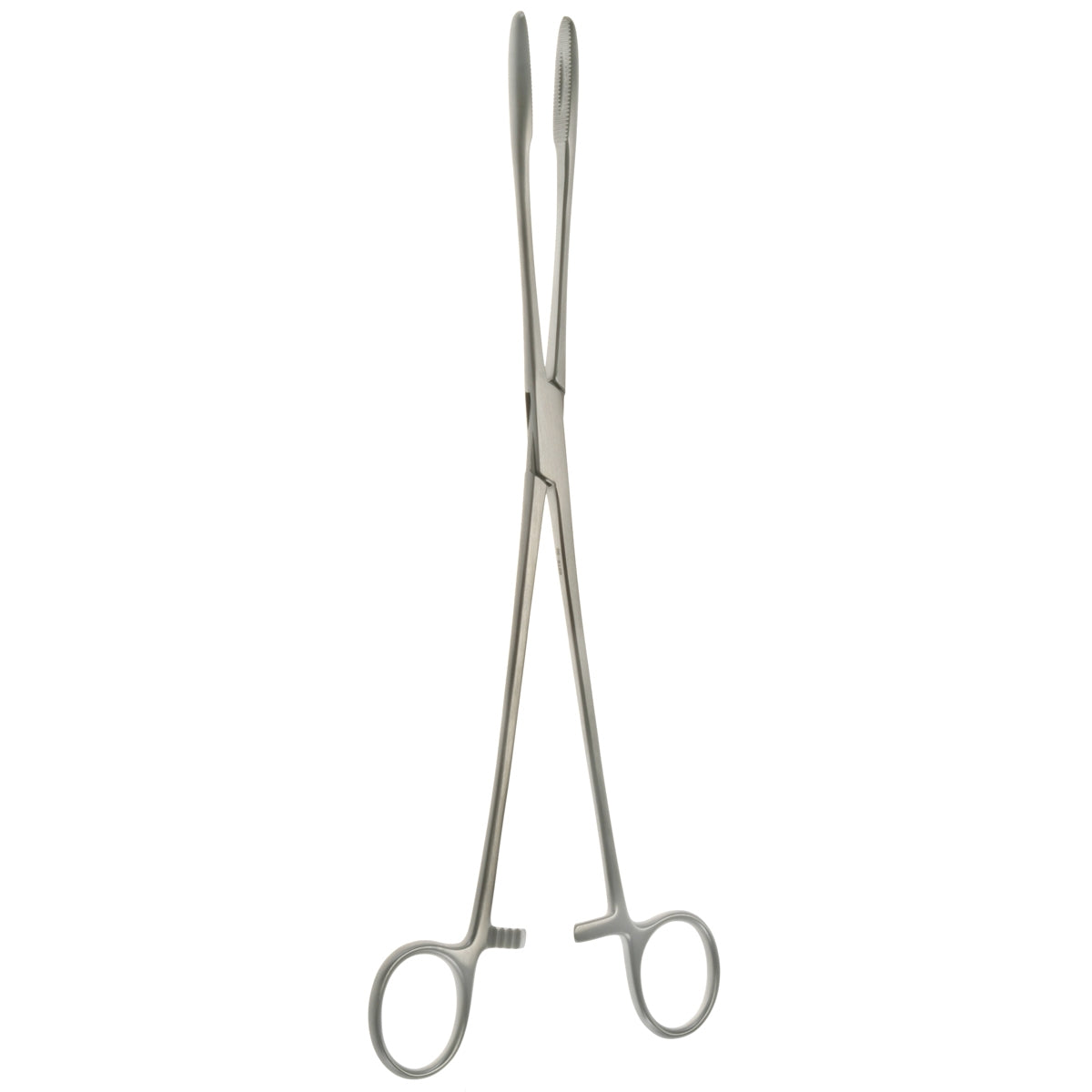 10 1/4" Maier Polypus Forceps, Straight