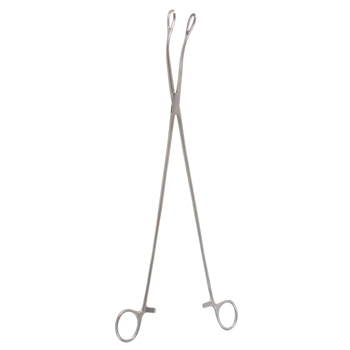 14" Forester Sponge Forceps with Curved, Serrated Edges