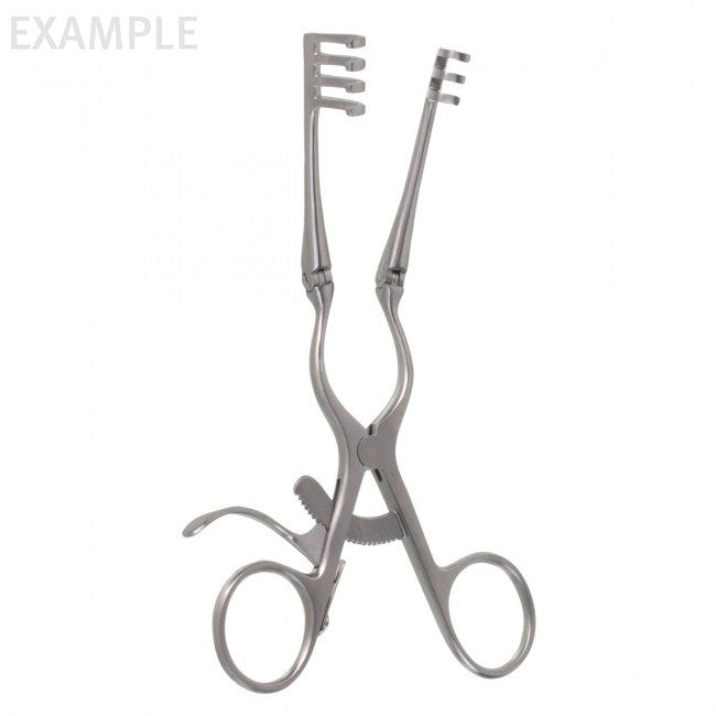 6-1/2" Weitlaner Retractor with hinged arms and four pointed prongs.