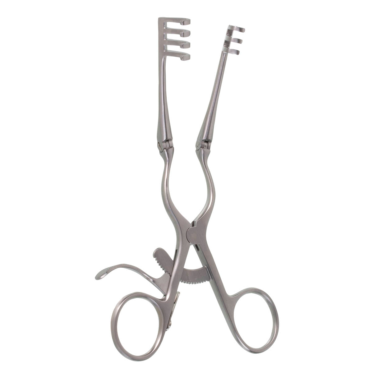 6-1/2" Weitlaner Retractor with hinged arms and four blunt prongs