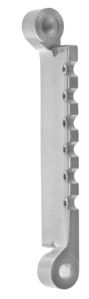 Segmented Ring