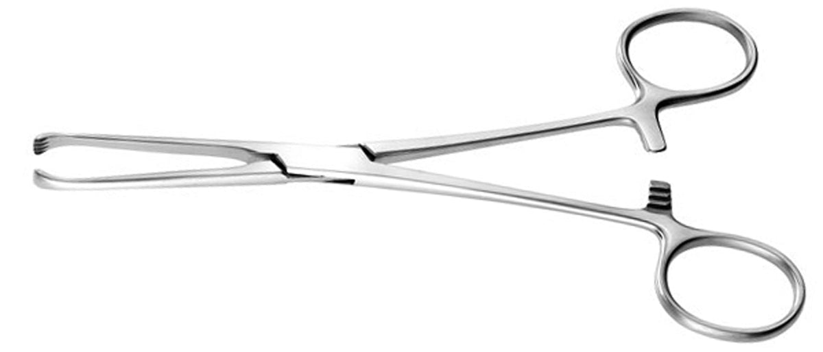 6 Allis Tissue Forceps with 4 and 5 teeth