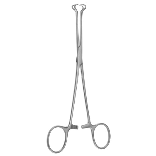 6 1/4" Baby-Babcock Forceps, Superb Model, 8mm Jaw