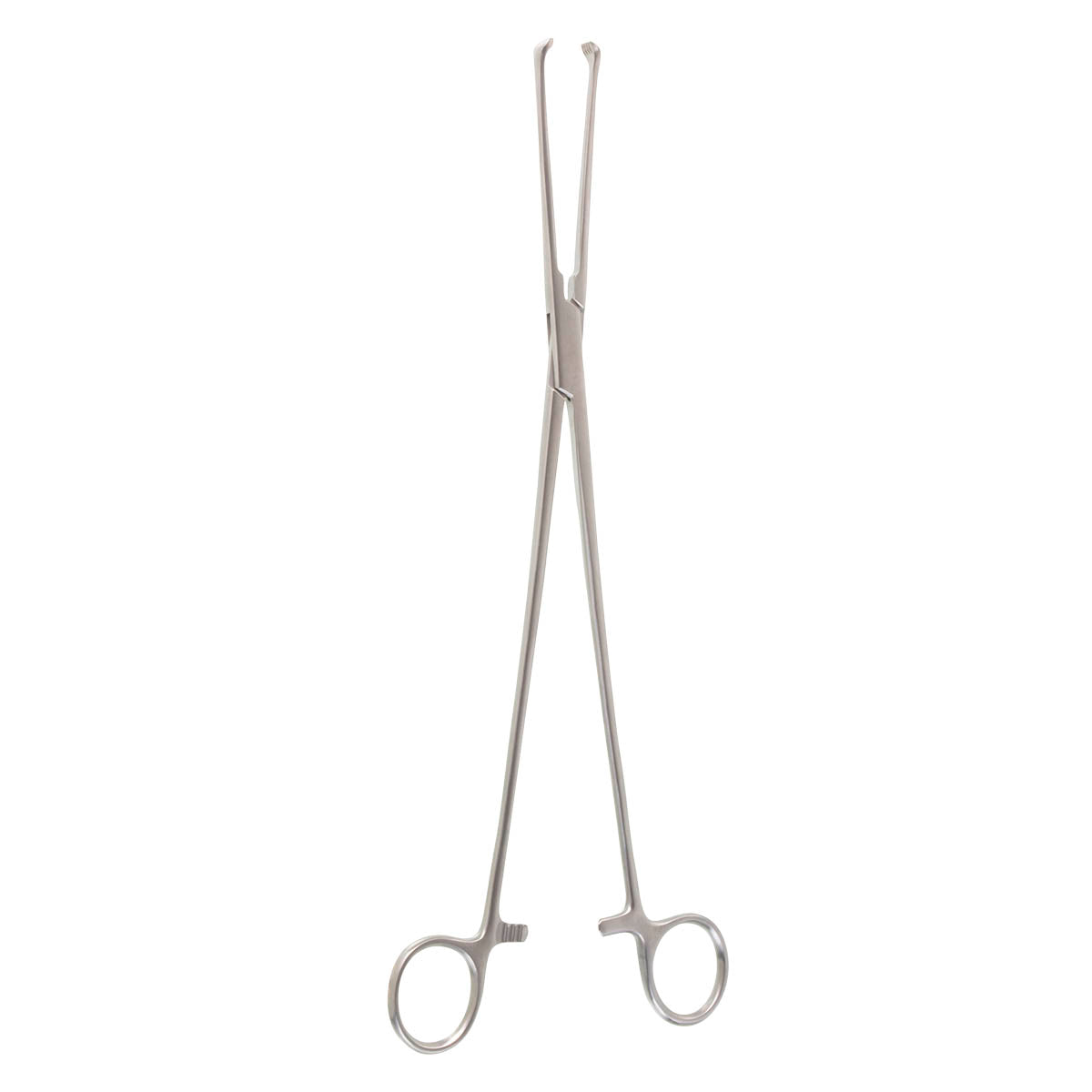 Allis Tissue Forceps