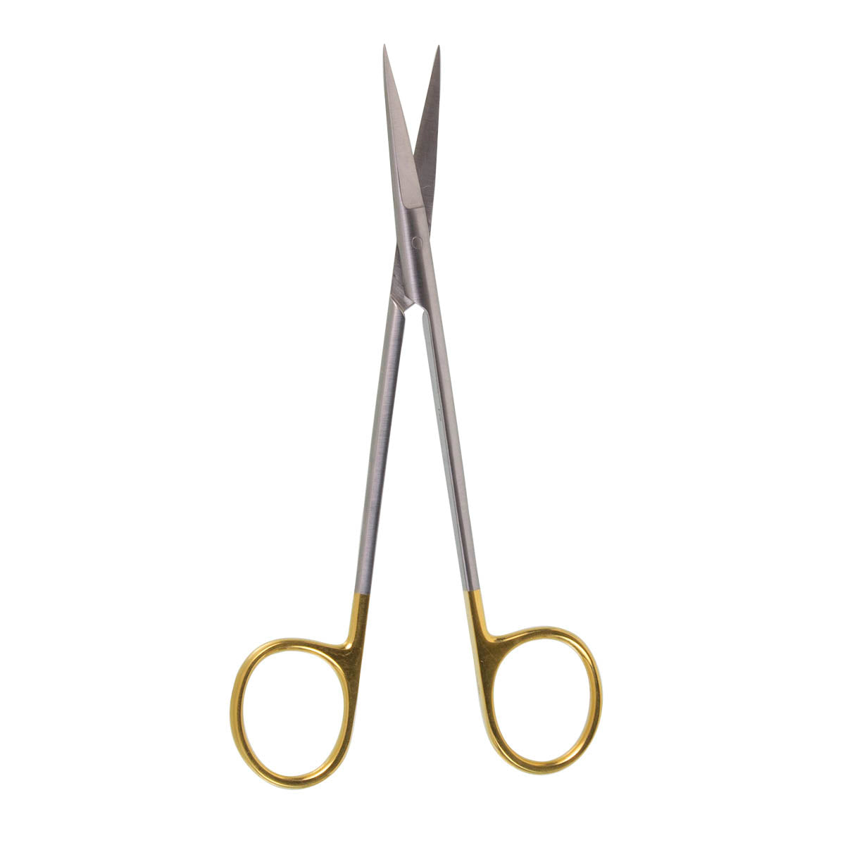 5 1/2" Joseph Scissors, TC Straight