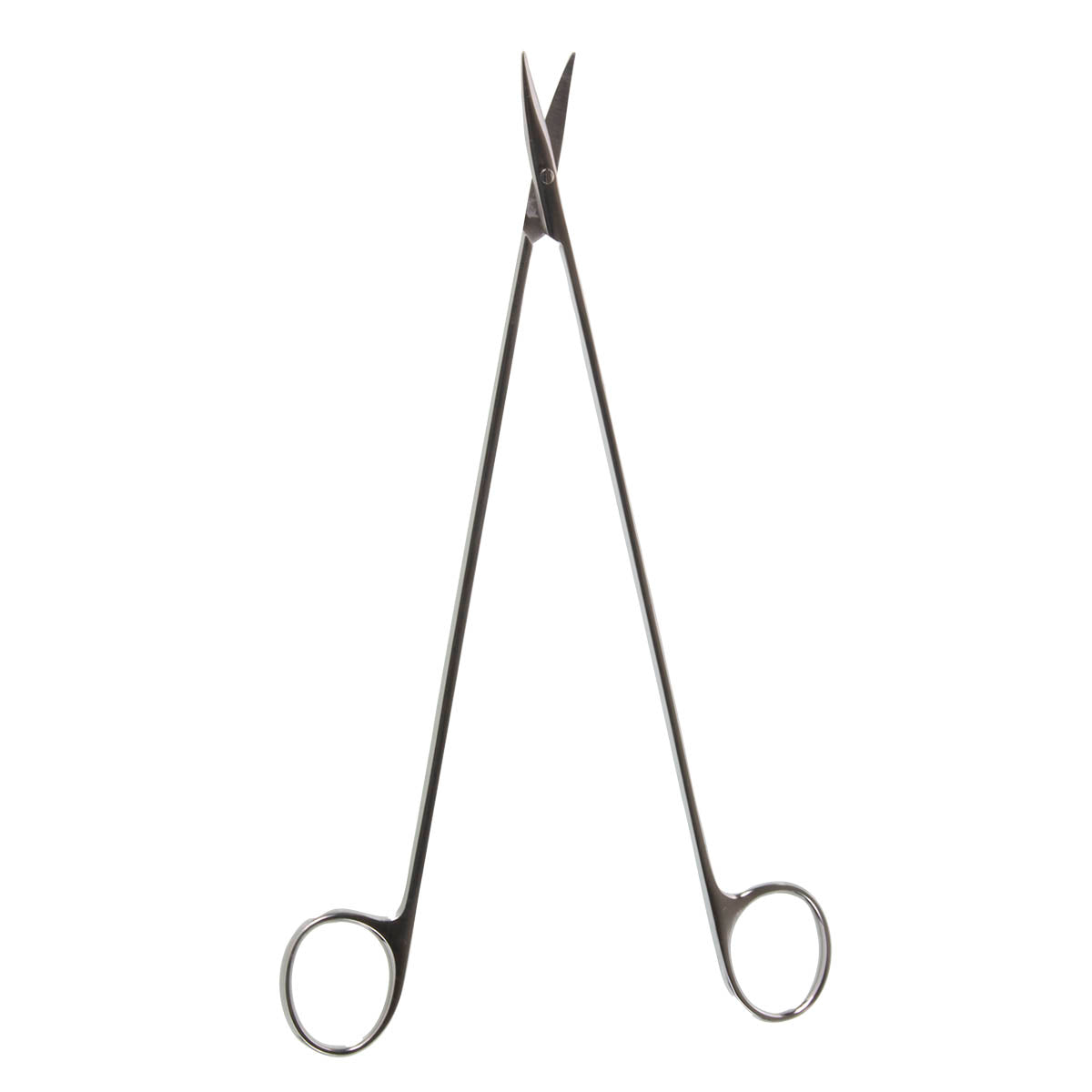 Lincoln Vascular Scissors  very delicate round blades