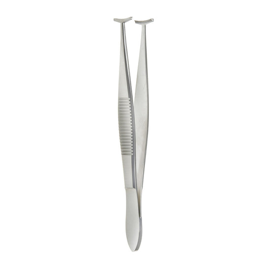 Green Fixation Forceps  10mm wide