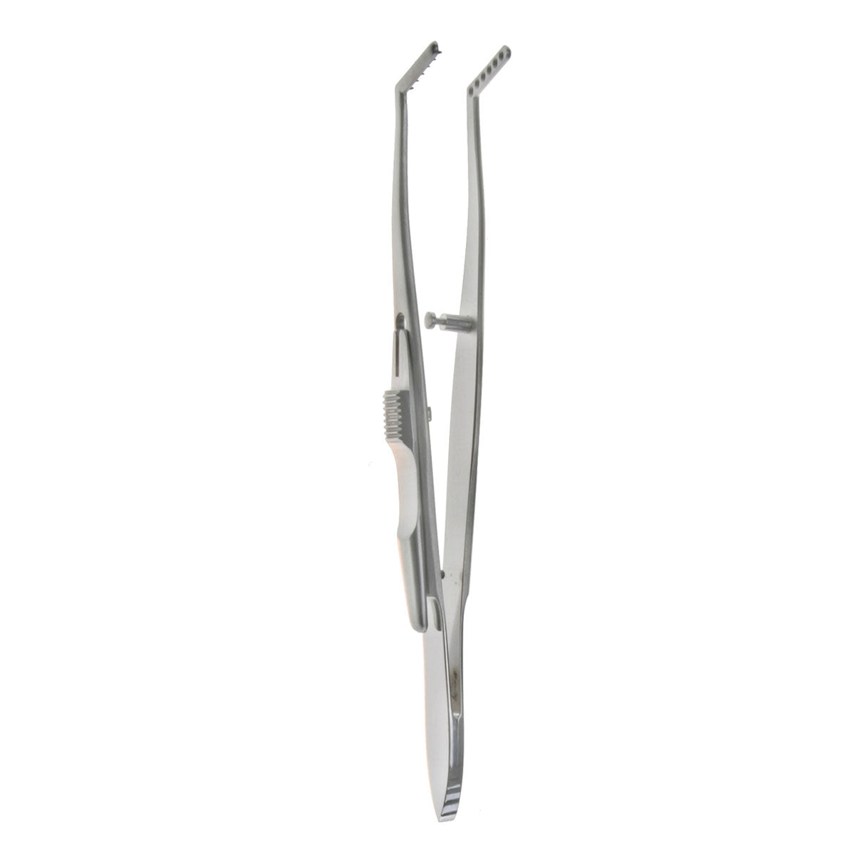 Jameson Muscle Forceps  adult rt