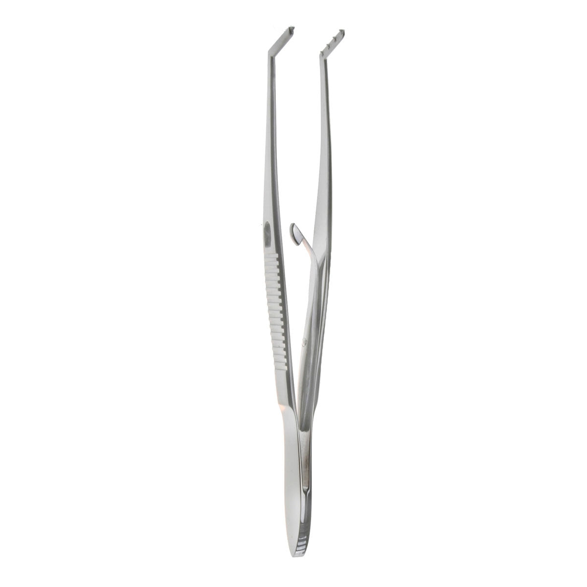 Prince Muscle Forceps  rt