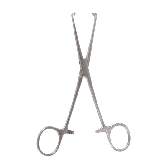 ALLIS TISSUE FORCEPS 5x6 TEETH 6"