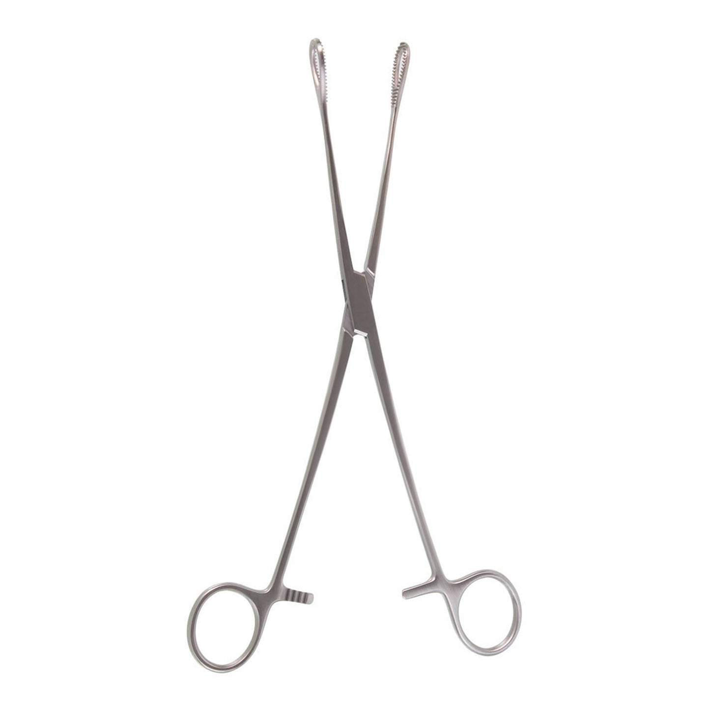 FOERSTER SPONGE FORCEPS 9.5"  STR SERR