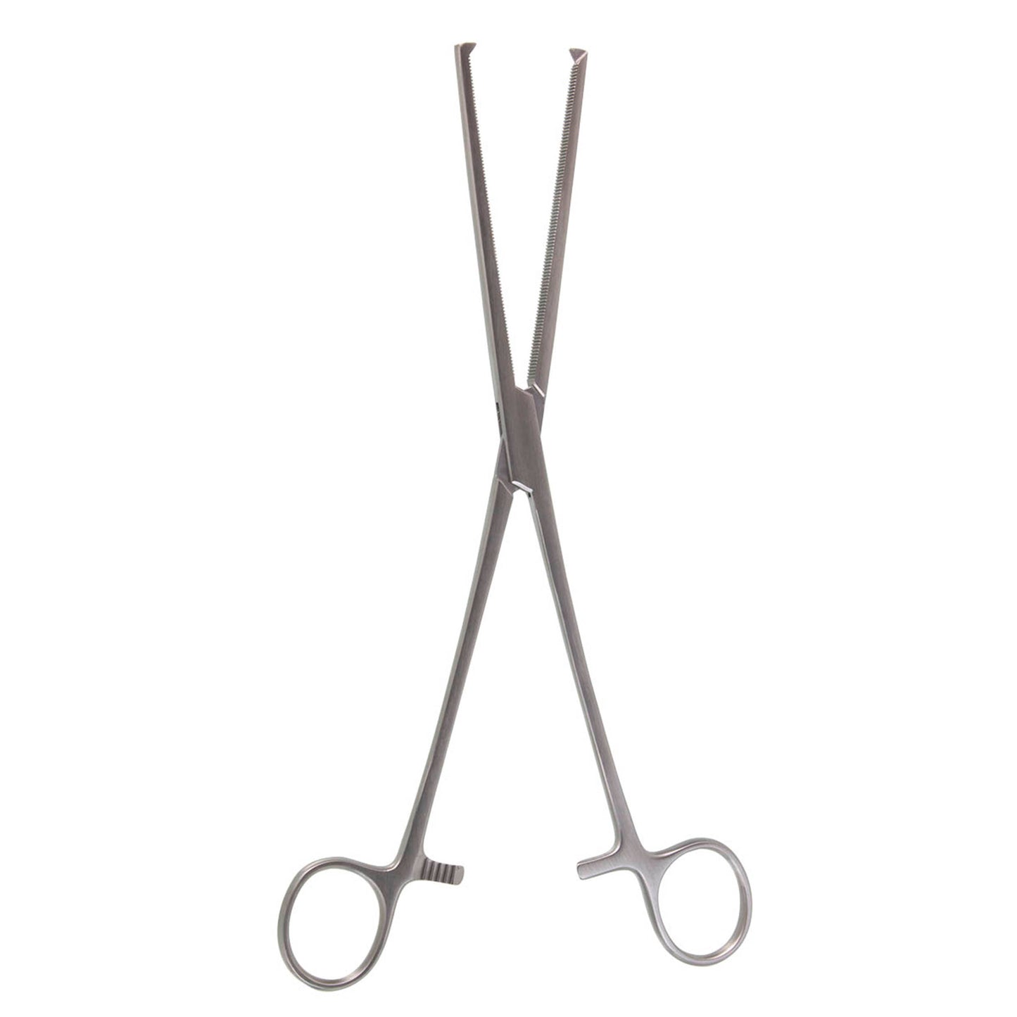 KOCHER FORCEPS 5-1/2"  CVD 1X2 TEETH