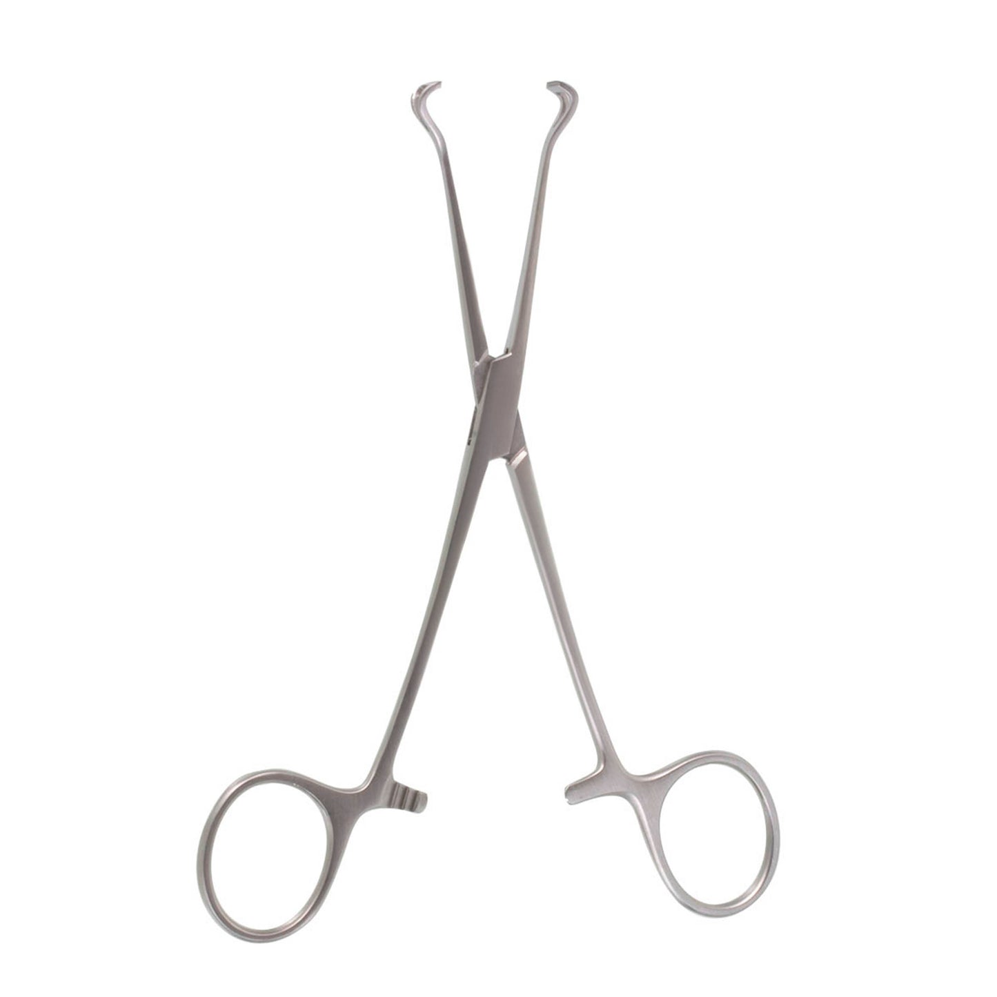 BABCOCK TISSUE FORCEPS 6-1/4"