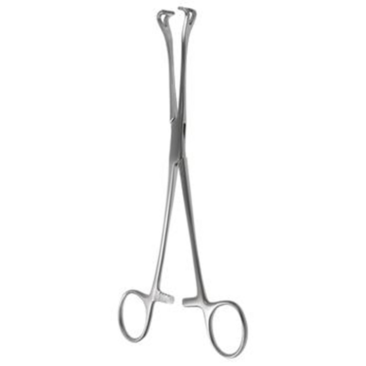 BABCOCK TISSUE FORCEPS 12"