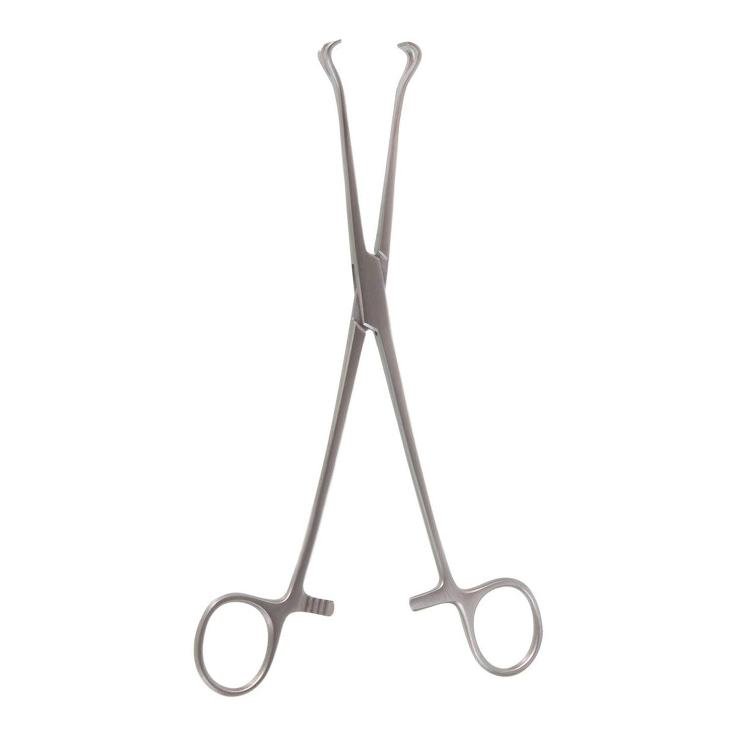 BABCOCK TISSUE FORCEPS 8"