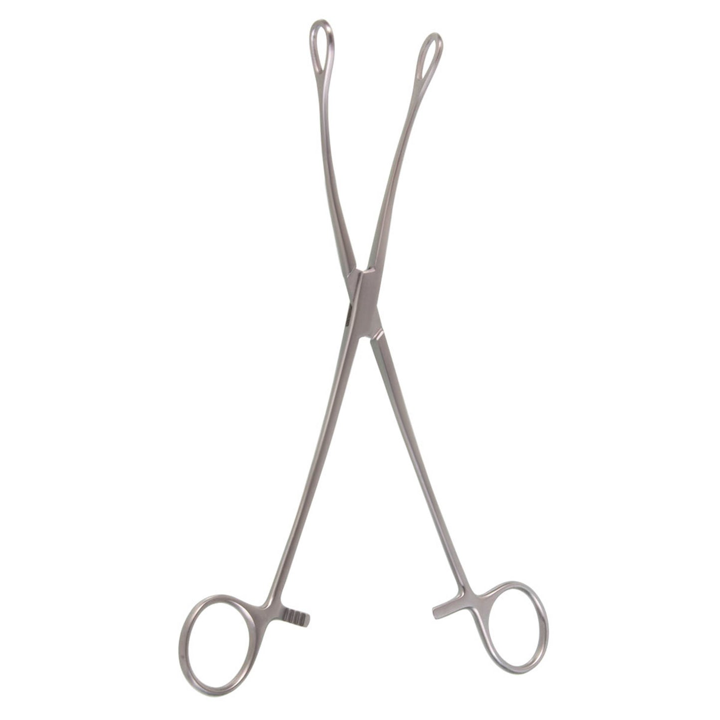 FOERSTER SPONGE FORCEPS 9.5"  CVD SMOOTH