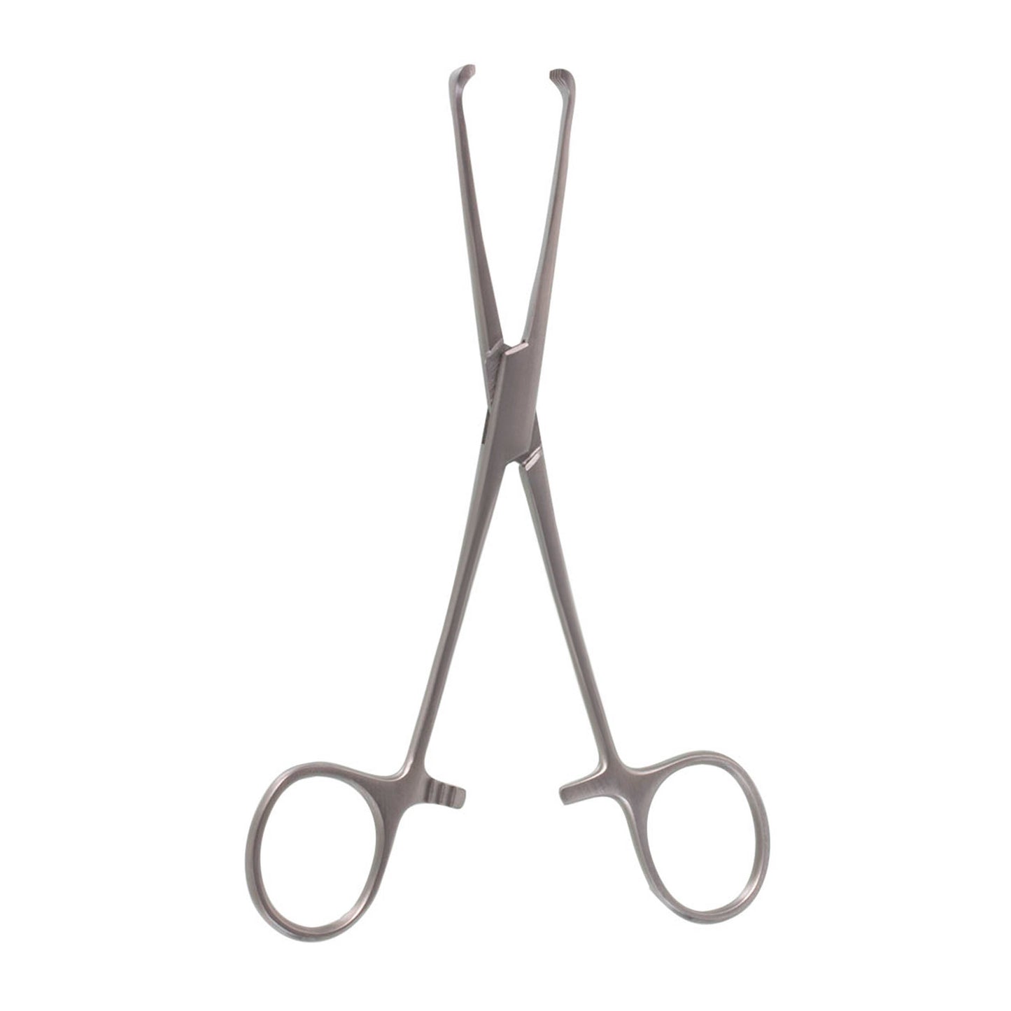 ALLIS TISSUE FORCEPS 4x5 TEETH 6"