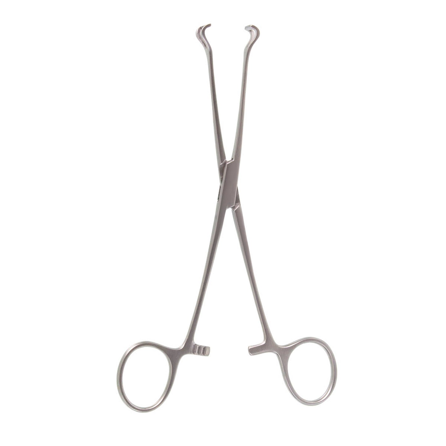 BABCOCK TISSUE FORCEPS 7-1/4"